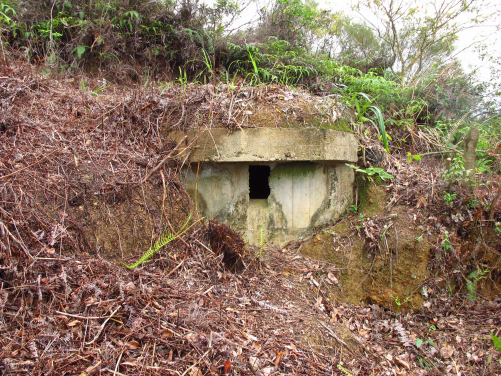 A small pillbox PBY (photo credit: The University of Hong Kong) 